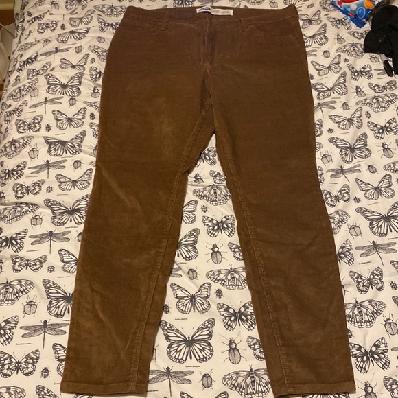Brown Corduroy Pants - Picture 1 of 7